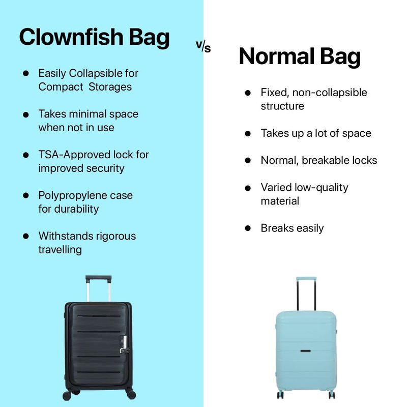 Clownfish Polypropylene Hard Case Suitcase - Airport Use