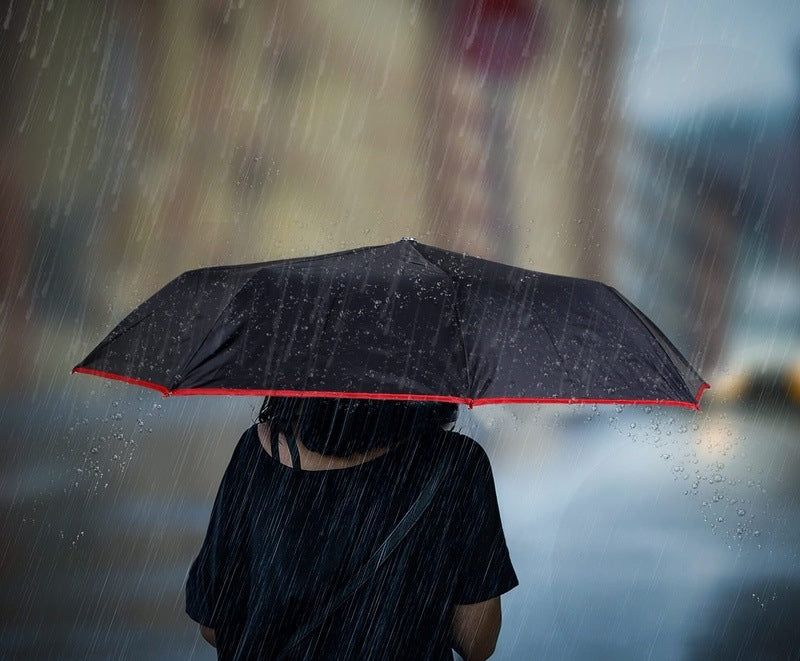 Clownfish umbrella - Sun and rain shield