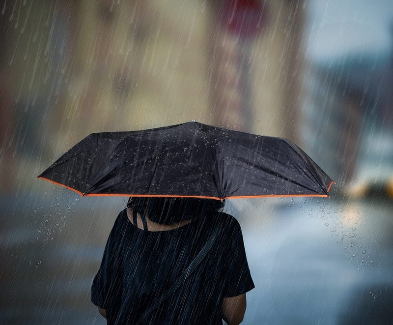 Clownfish umbrella - Everyday commute