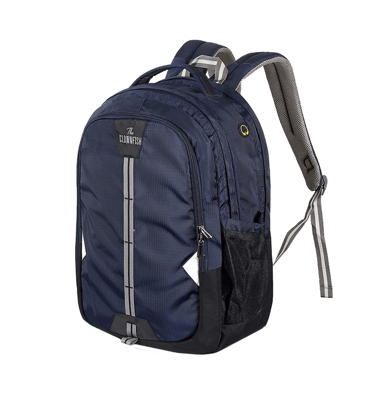 Liviya store laptop bags