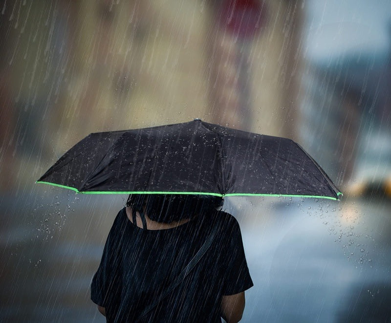 Clownfish Folding Umbrella - Functional and stylish design